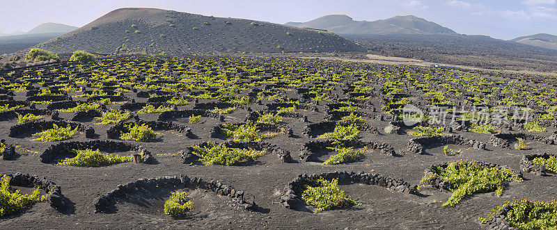 La Geria火山葡萄酒谷